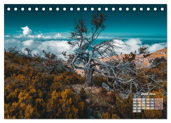 Produktbild: Trauminsel Madeira (Tischkalender 2026 DIN A5 quer), CALVENDO Monatskalender