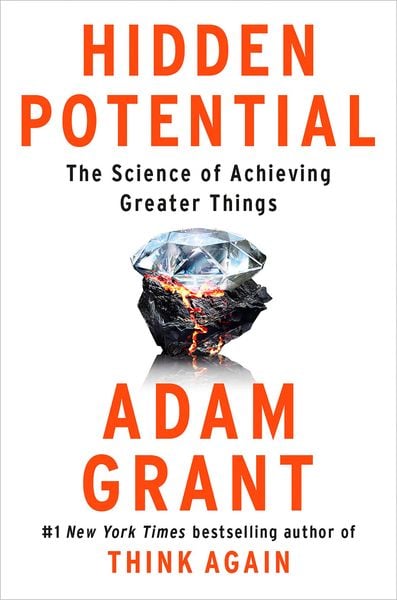 Produktbild: Hidden Potential