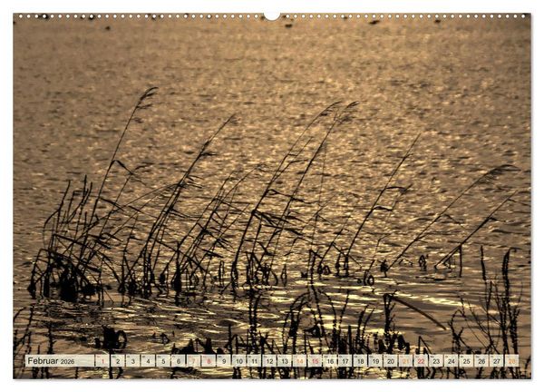 Produktbild: Landschaft an der W&uuml;mme (Wandkalender 2026 DIN A2 quer), CALVENDO Monatskalender