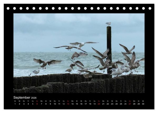 Produktbild: An der Nordsee (Tischkalender 2026 DIN A5 quer), CALVENDO Monatskalender