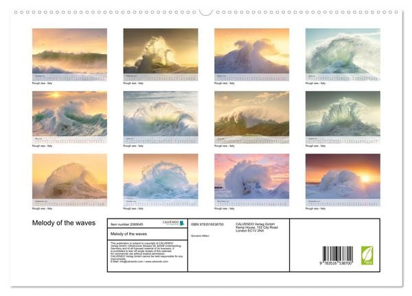 Produktbild: Melody of the waves (High Quality Premium Wall Calendar 2026 DIN A2 landscape),CALVENDO 12 Month Wall Calendar
