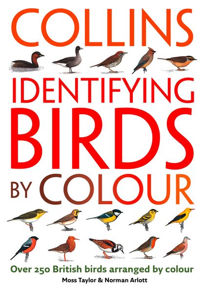 Produktbild: Identifying Birds by Colour