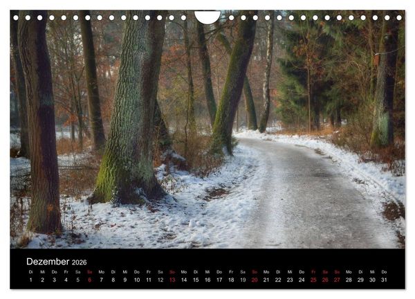 Produktbild: Waldkalender (Wandkalender 2026 DIN A4 quer), CALVENDO Monatskalender