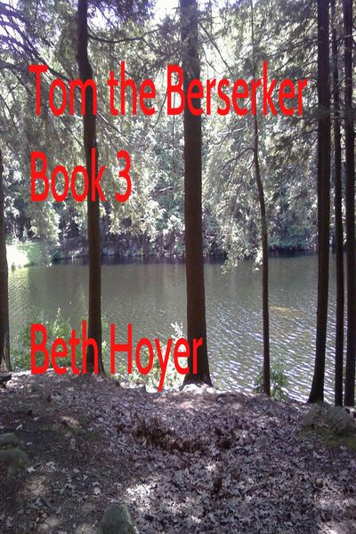 Produktbild: Tom the Berserker Book Three