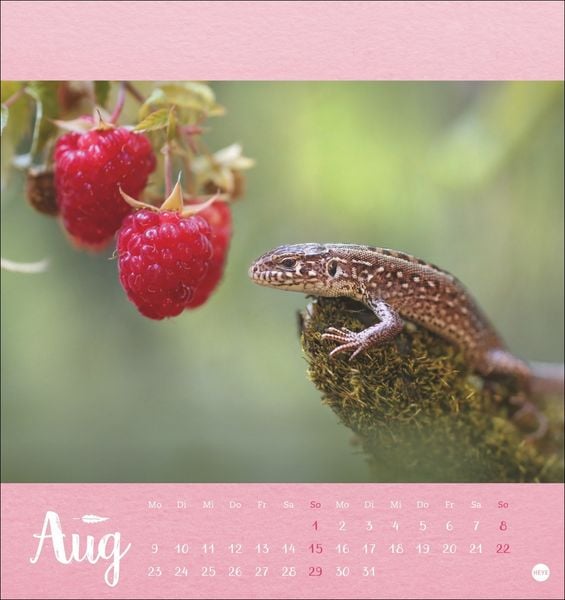 Produktbild: Vadim Trunov: M&auml;rchenhaftes Waldleben Postkartenkalender 2027