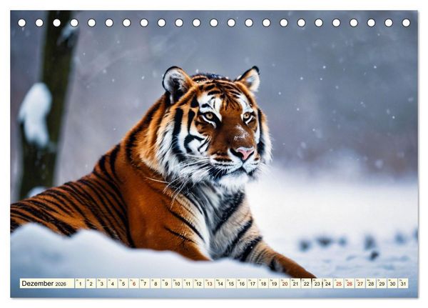 Produktbild: Tiger ganz nah (Tischkalender 2026 DIN A5 quer), CALVENDO Monatskalender