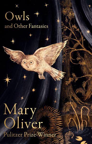 Produktbild: Owls and Other Fantasies