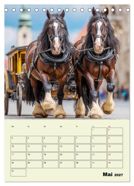 Produktbild: Shire Horse Magie. Englands sanfte Giganten (Tischkalender 2027 DIN A5 hoch), CALVENDO Monatskalender