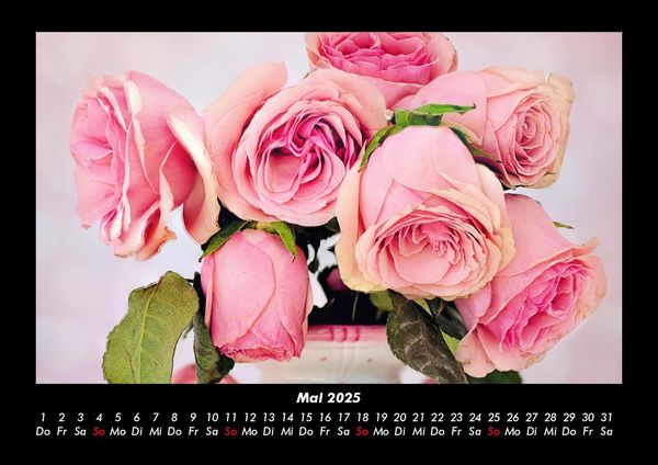 Produktbild: Rosen-Kalender 2025 Fotokalender DIN A3
