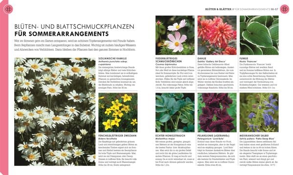 Produktbild: So geht Garten