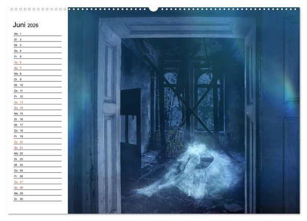 Produktbild: Geheimnisvolle Ballettwelt (hochwertiger Premium Wandkalender 2026 DIN A2 quer), Kunstdruck in Hochglanz