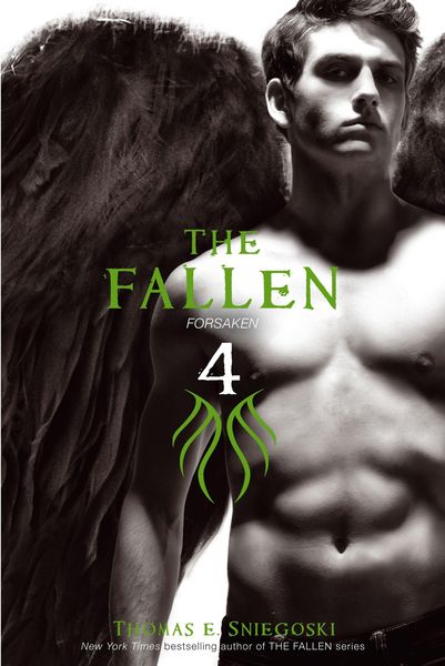 Produktbild: The Fallen 4