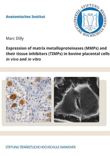 Produktbild: Expression of matrix metalloproteinases (MMPs) and their tissue inhibitors (TIMPs) in bovine placental cells in vivo and in vitro