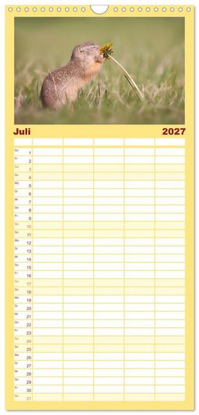 Produktbild: Familienplaner 2027 - Zauberhafte Ziesel mit 5 Spalten (Wandkalender, 21 x 45 cm) CALVENDO