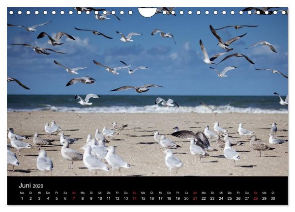 Produktbild: Frankreich Normandie (Wandkalender 2026 DIN A4 quer), CALVENDO Monatskalender