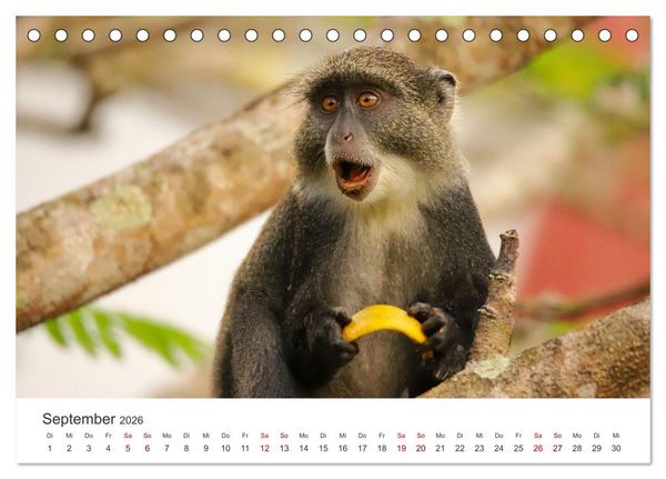Produktbild: Kenia - Eine Entdeckungsreise durch das Land im Osten Afrikas (Tischkalender 2026 DIN A5 quer), CALVENDO Monatskalender