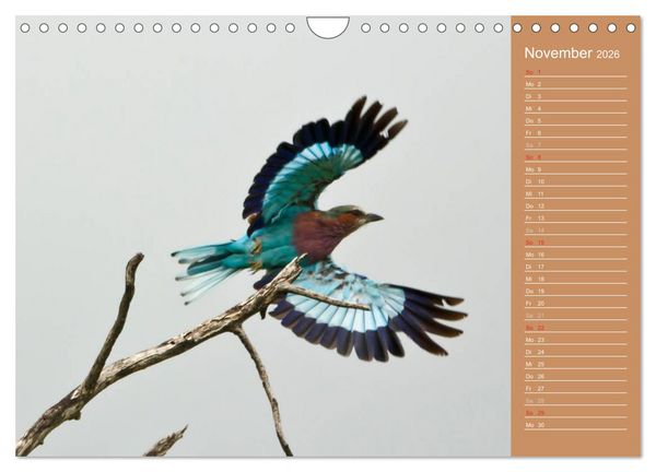 Produktbild: Afrika - Faszinierende Tierwelt (Wandkalender 2026 DIN A4 quer), CALVENDO Monatskalender