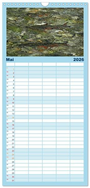 Produktbild: Familienplaner 2026 - Faszination Fische mit 5 Spalten (Wandkalender, 21 x 45 cm) CALVENDO
