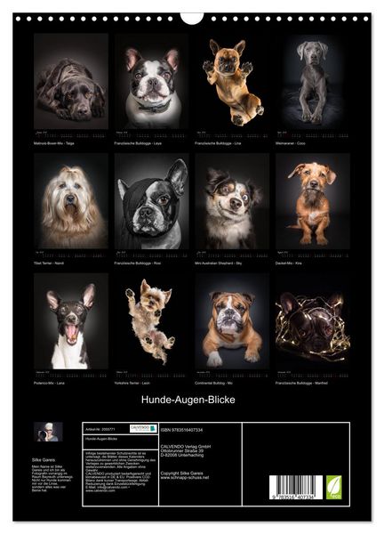 Produktbild: Hunde-Augen-Blicke (Wandkalender 2026 DIN A3 hoch), CALVENDO Monatskalender