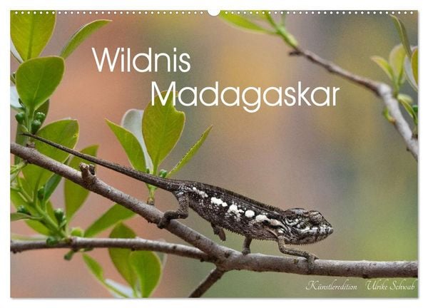 Produktbild: Wildnis Madagaskar (Wandkalender 2027 DIN A2 quer), CALVENDO Monatskalender