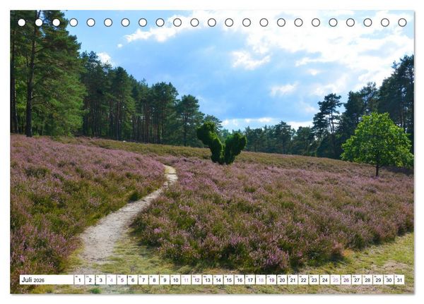 Produktbild: Heidelandschaft im Farbenspiel der Natur (Tischkalender 2026 DIN A5 quer), CALVENDO Monatskalender