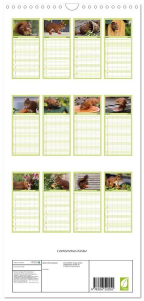 Produktbild: Familienplaner 2026 - Eichh&ouml;rnchen Kinder mit 5 Spalten (Wandkalender, 21 x 45 cm) CALVENDO