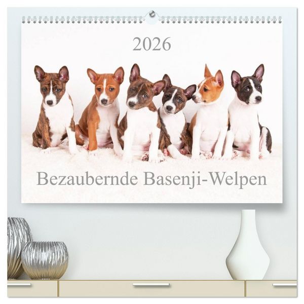 Produktbild: Bezaubernde Basenji-Welpen (hochwertiger Premium Wandkalender 2026 DIN A2 quer), Kunstdruck in Hochglanz