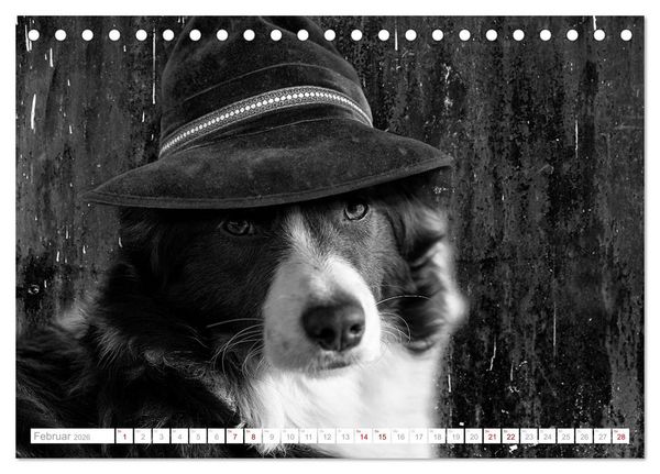 Produktbild: Hund tr&auml;gt Hut (Tischkalender 2026 DIN A5 quer), CALVENDO Monatskalender