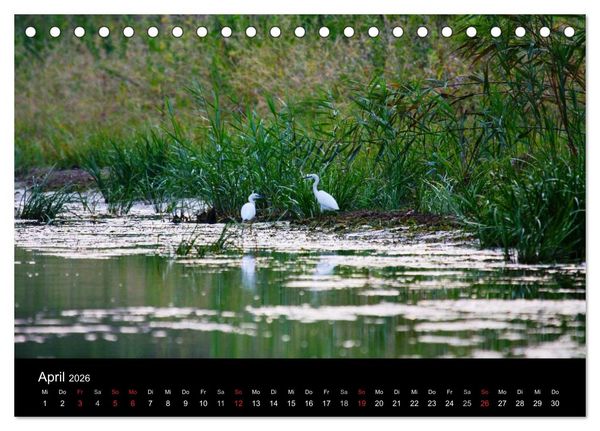Produktbild: Donaudelta (Tischkalender 2026 DIN A5 quer), CALVENDO Monatskalender