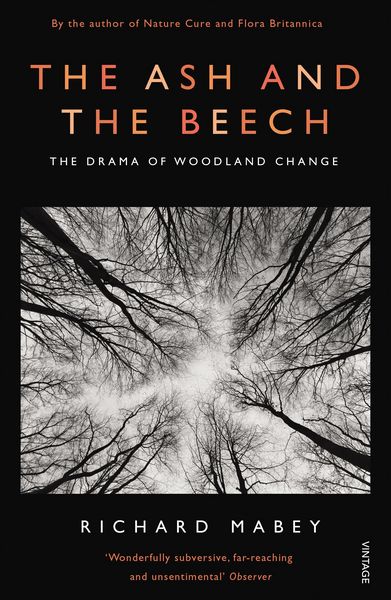 Produktbild: The Ash and The Beech