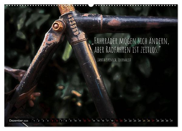 Produktbild: Velo Kunst (Wandkalender 2026 DIN A2 quer), CALVENDO Monatskalender