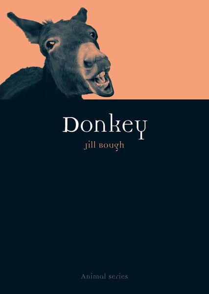 Produktbild: Donkey