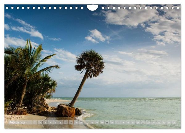 Produktbild: Florida. Sonne und Meer (Wandkalender 2026 DIN A4 quer), CALVENDO Monatskalender