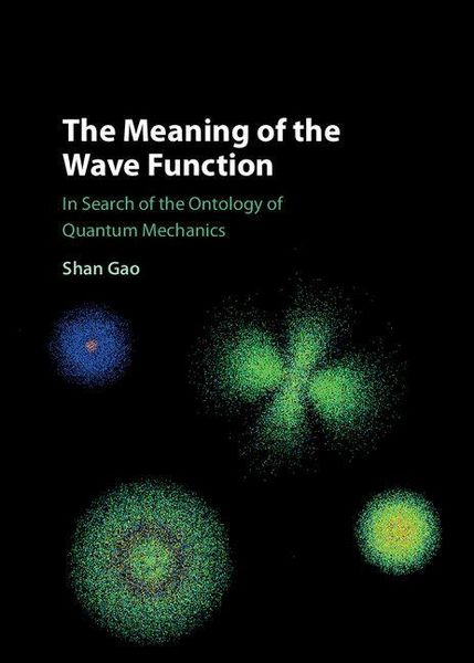 Produktbild: The Meaning of the Wave Function
