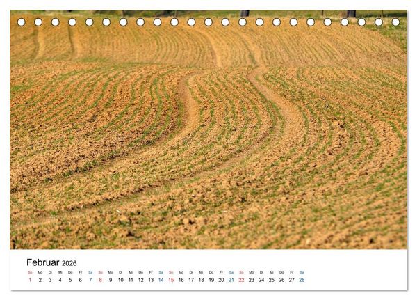 Produktbild: Felder und Wiesen (Tischkalender 2026 DIN A5 quer), CALVENDO Monatskalender