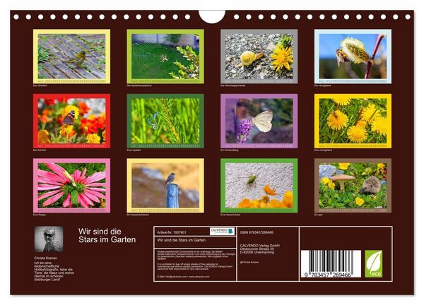 Produktbild: Wir sind die Stars im Garten (Wandkalender 2026 DIN A4 quer), CALVENDO Monatskalender