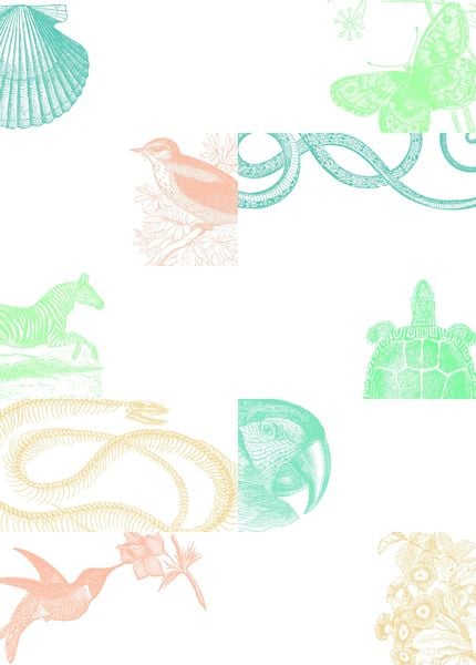 Produktbild: Natural History