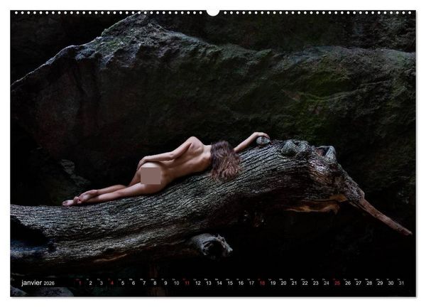 Produktbild: Saint-Tropez Les paysages et le nu (Calendrier mural 2026 DIN A2 vertical) calendrier de bureau