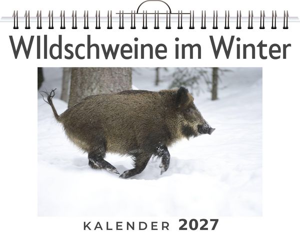 Produktbild: WIldschweine im Winter