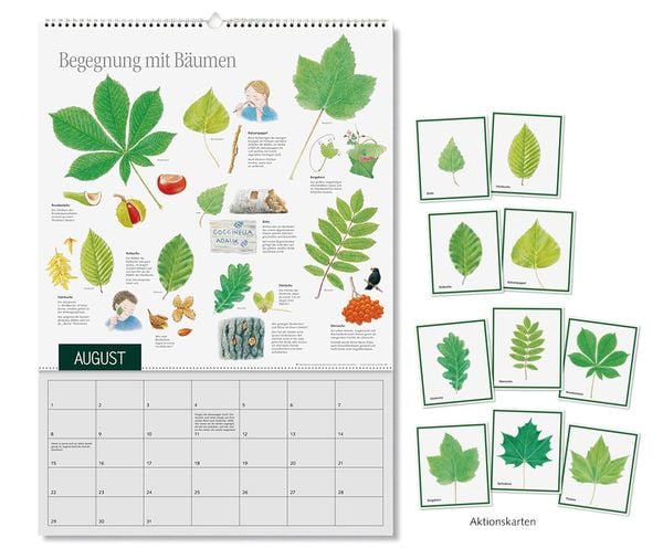 Produktbild: Natur erleben durch das Jahr - 2
