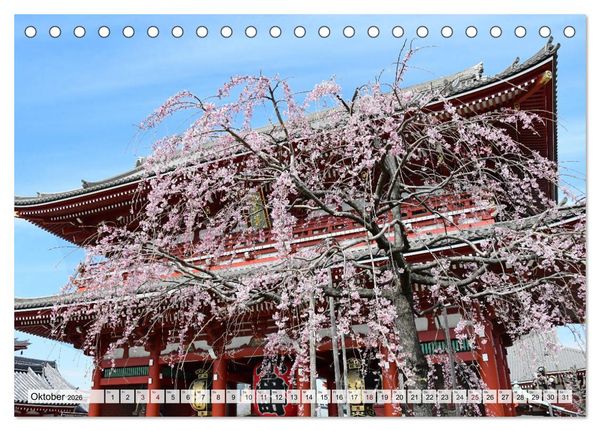 Produktbild: Die Kirschbl&uuml;te in Japan (Tischkalender 2026 DIN A5 quer), CALVENDO Monatskalender