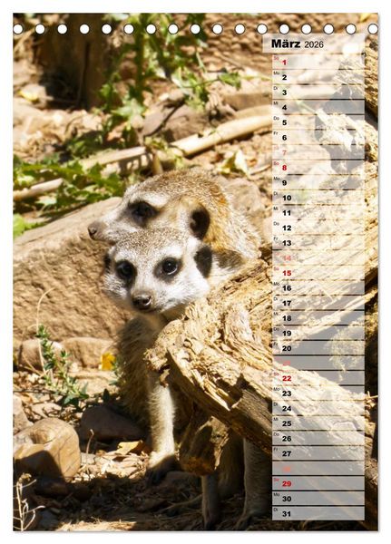 Produktbild: Erdm&auml;nnchen, putzige Kerlchen mit gro&szlig;en Knopfaugen (Tischkalender 2026 DIN A5 hoch), CALVENDO Monatskalender