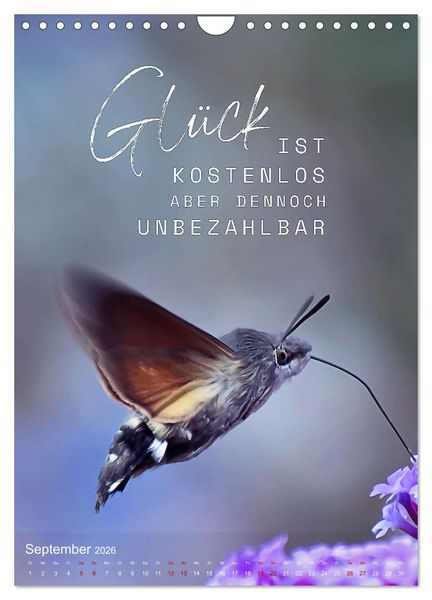 Produktbild: ICH W&Uuml;NSCHE DIR GL&Uuml;CK - 12 Monate mit inspirierenden Gl&uuml;ckszitaten (Wandkalender 2026 DIN A4 hoch), CALVENDO Monatskalender