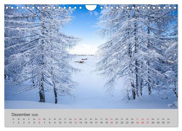 Produktbild: Komm, ich zeige dir den Wald (Wandkalender 2026 DIN A4 quer), CALVENDO Monatskalender