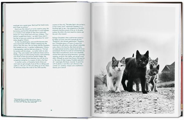 Produktbild: Walter Chandoha. Cats. Photographs 1942&ndash;2018