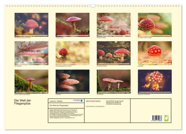 Produktbild: Die Welt der Fliegenpilze (Wandkalender 2026 DIN A2 quer), CALVENDO Monatskalender