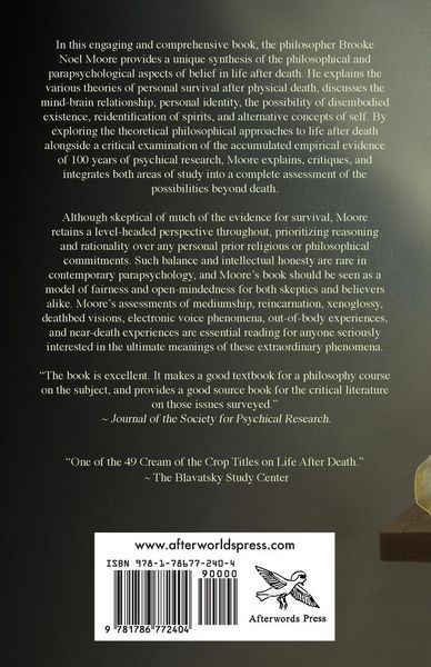 Produktbild: The Philosophical Possibilities Beyond Death
