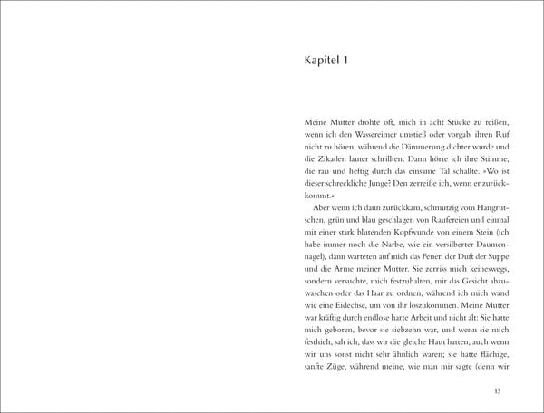 Produktbild: Der Clan der Otori. Das Schwert in der Stille