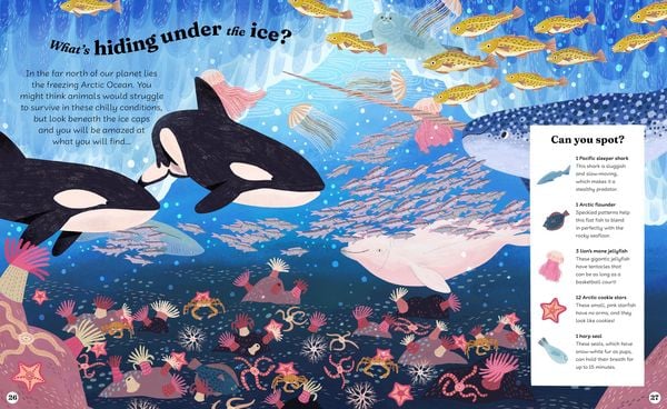 Produktbild: Ocean Explorer