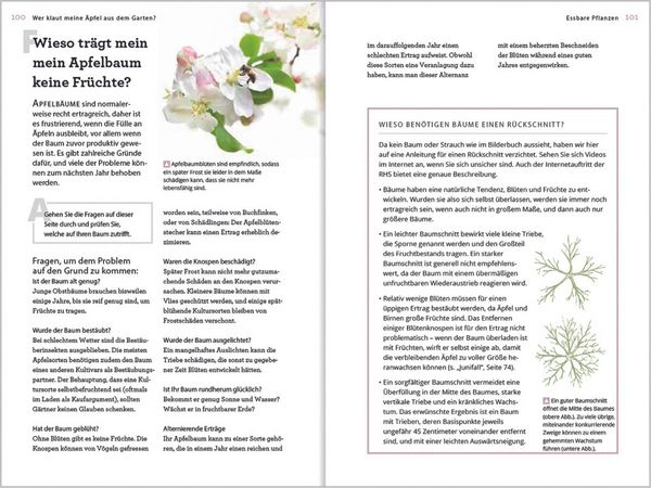 Produktbild: Wer klaut meine &Auml;pfel aus dem Garten